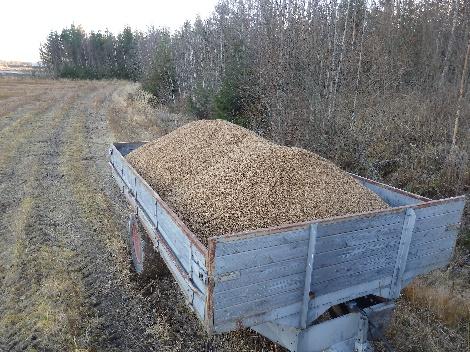 Torkning bör ske omedelbart efter tröskning.